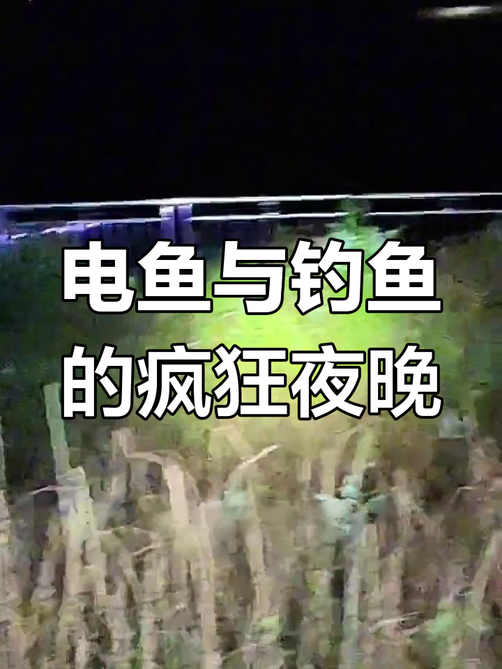 白天钓位连杆,晚上电鱼大队疯狂捕捞