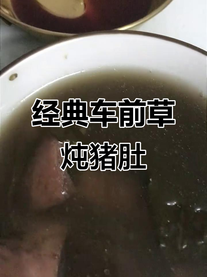 车钱草黑豆煲猪肚,广州传统美味汤品