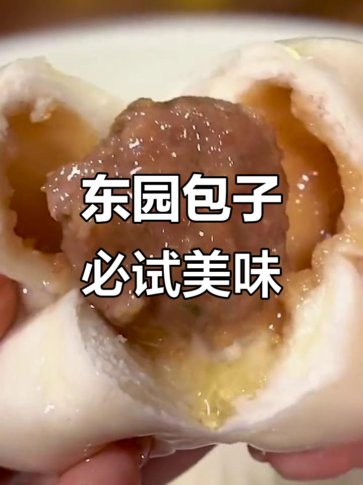 扬州东园包子,鲜嫩多汁,肉菜搭配超好吃