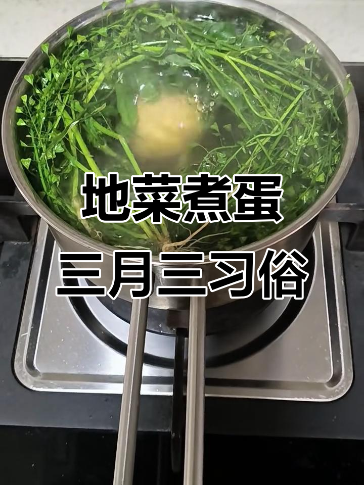 三月三的地菜煮鸡蛋,清肝明目又清新