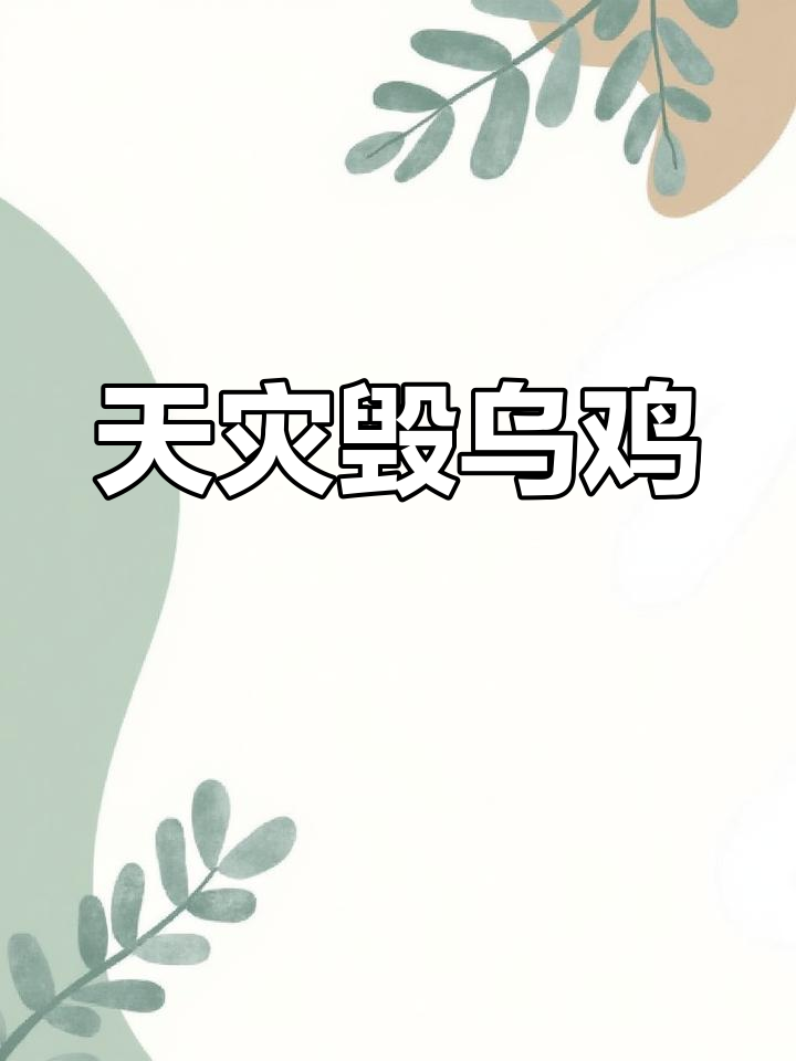 极端天气致乌鸡大量死亡,养殖户心碎:多年努力付诸东流