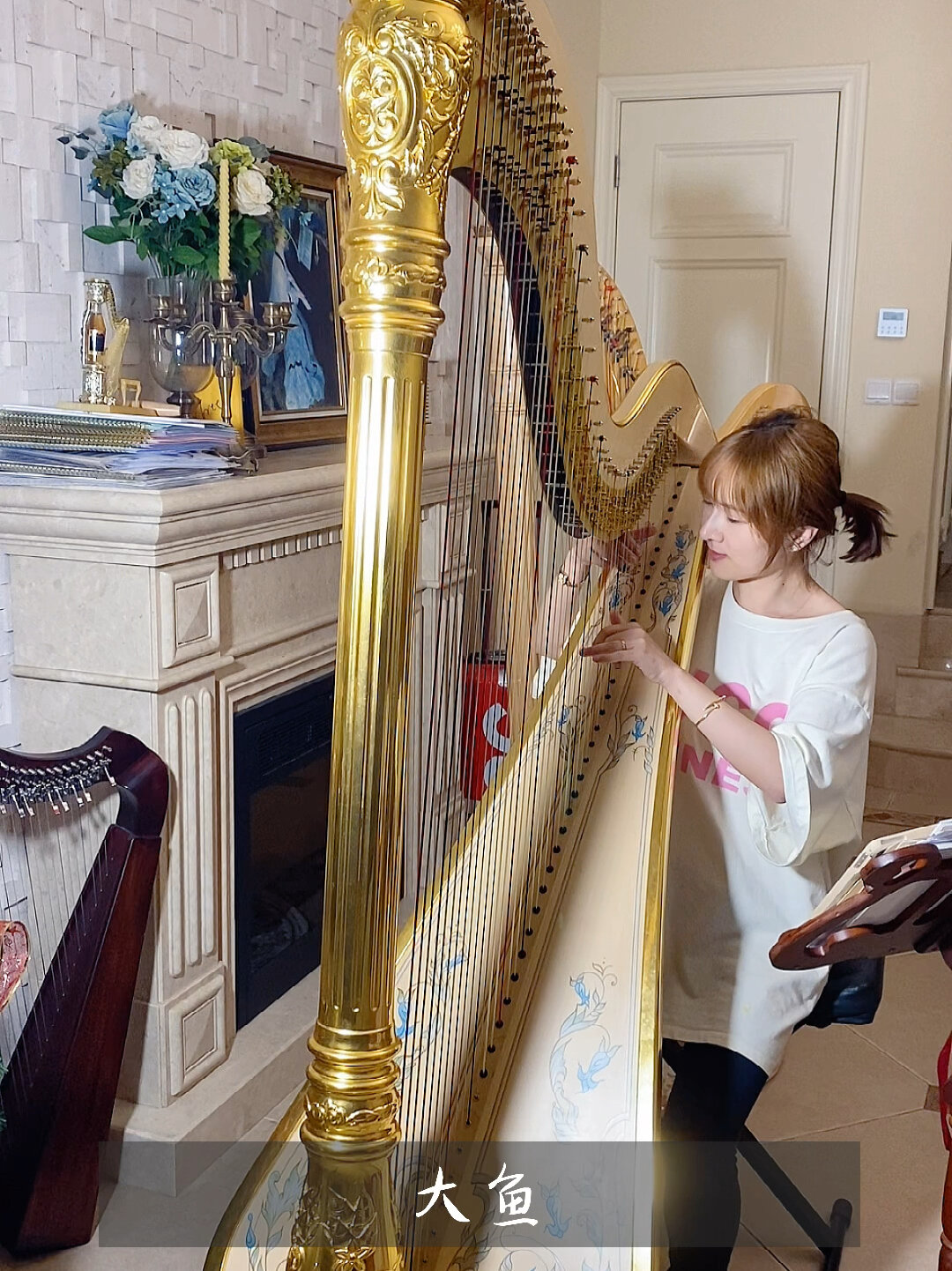 大鱼海棠 大鱼 主题曲 竖琴版