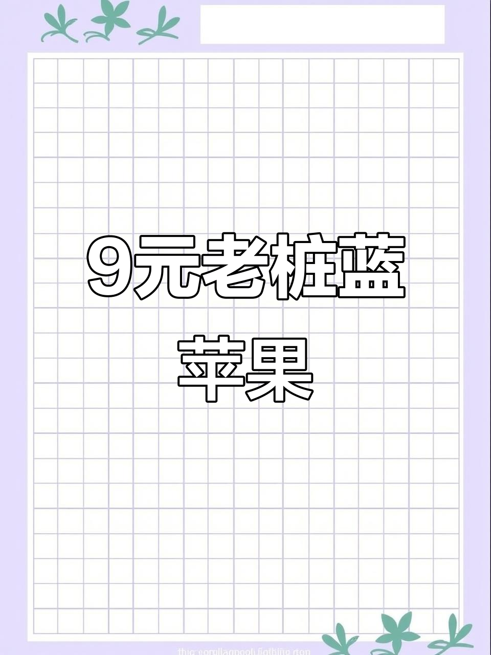 9元老桩群生蓝苹果,超值多肉组合来袭