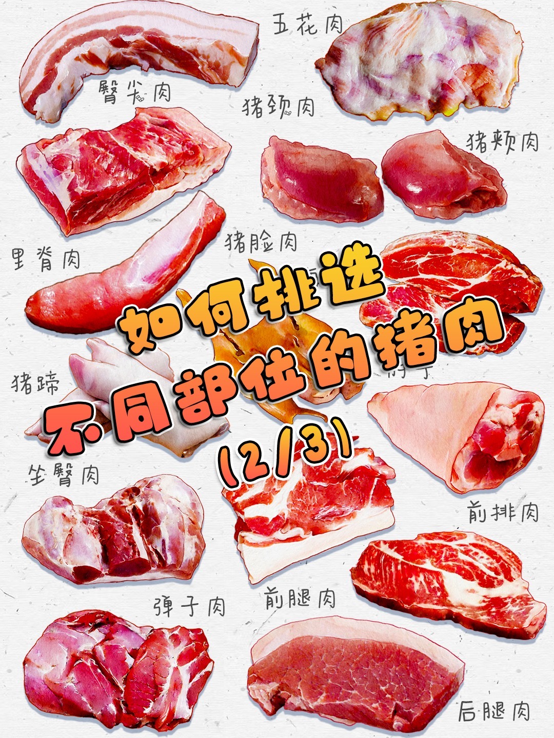 教你如何挑选不同部位的猪肉,常见猪肉分类