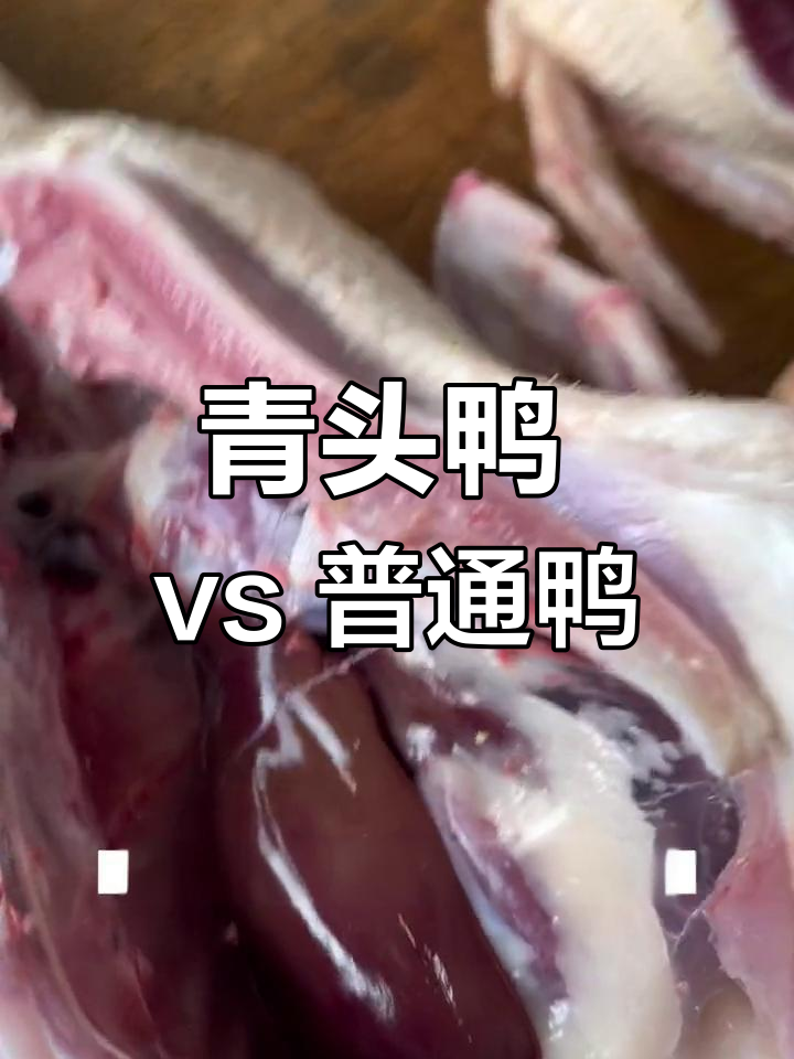 青头鸭与普通鸭子肉质大对比,皮薄暗红更健康