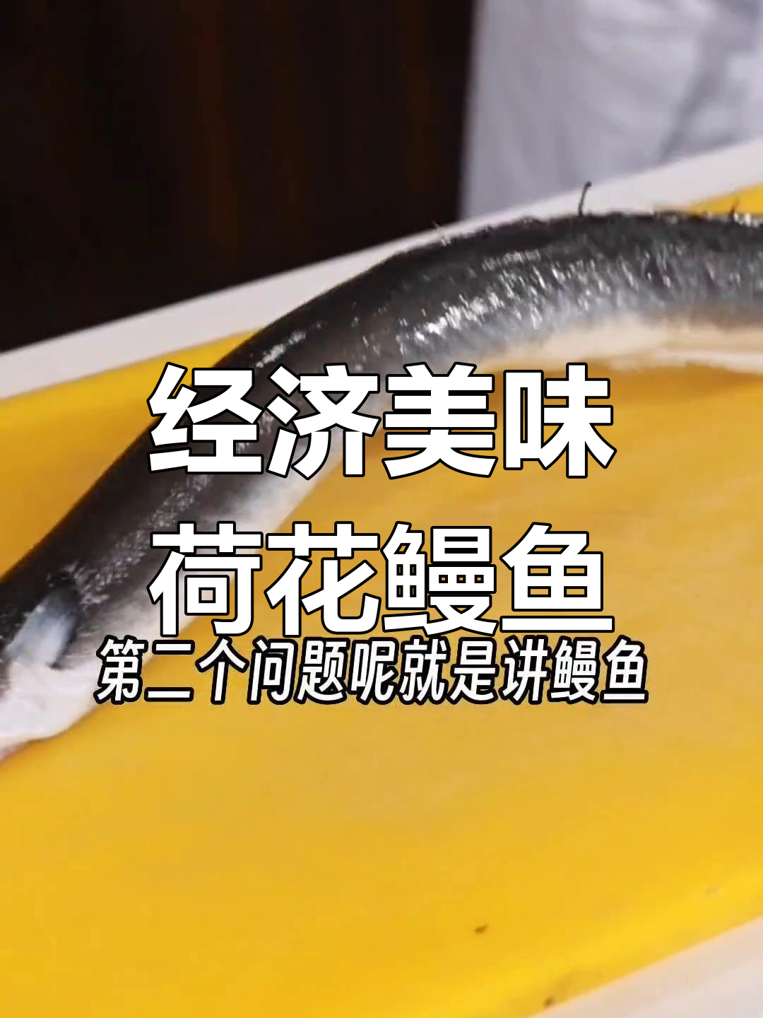 传统常州荷花鳗鱼做法,鲜美实惠