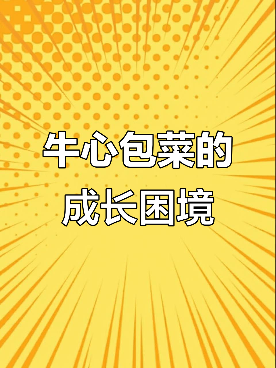 牛心包菜生长需要足够的土壤,土不够就长不大