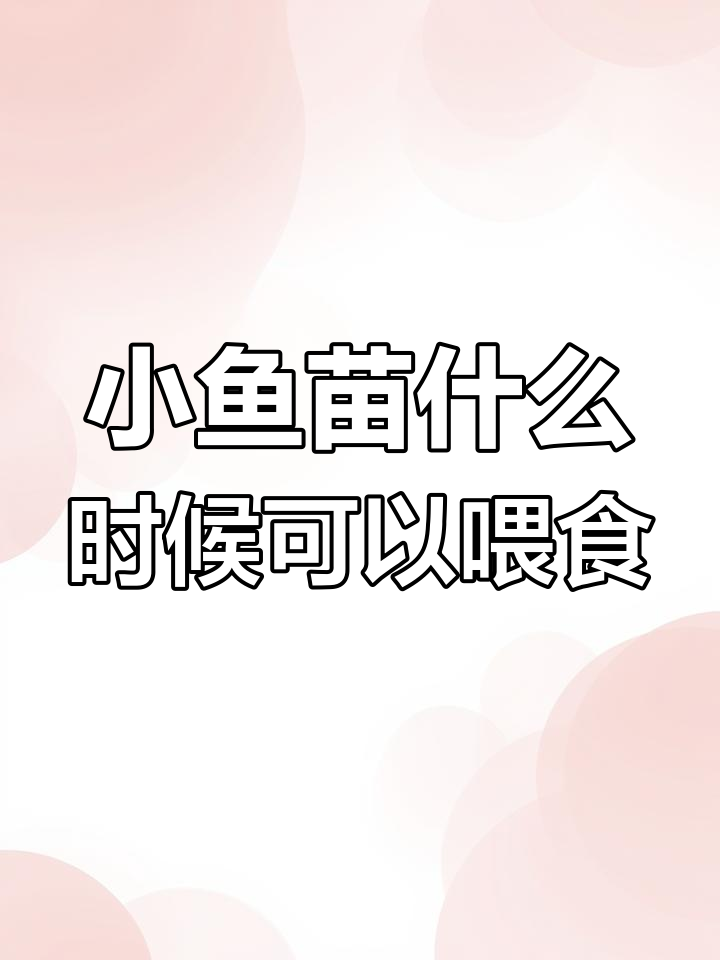 迷你鹦鹉鱼产卵后,小鱼苗何时能喂食?