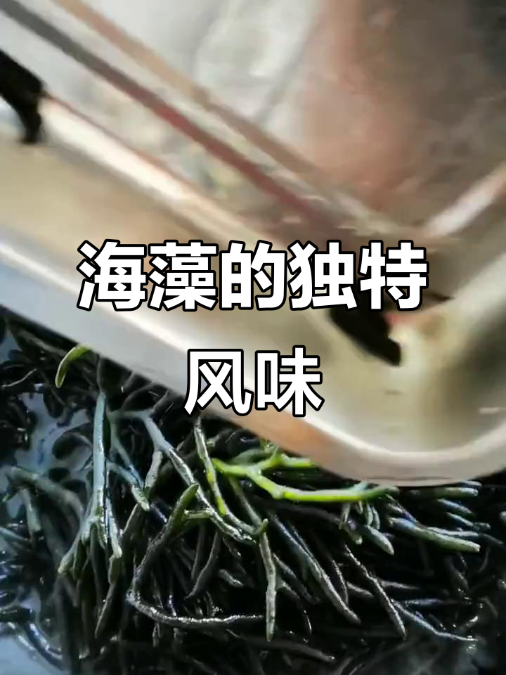 鸡爪菜,野生美味,与海鲜搭配炖煮,鲜美无比!