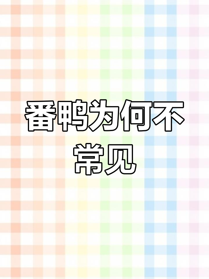 番鸭肉质鲜美,价格高昂却少人养殖,背后原因令人深思