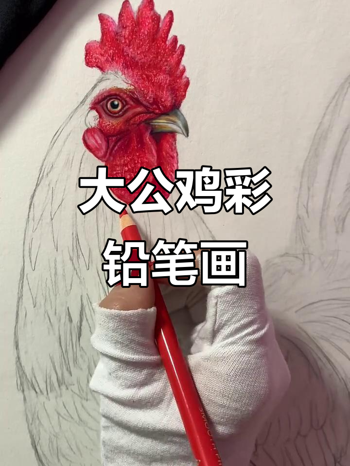 彩铅大公鸡手绘教程,轻松掌握色彩叠加技巧