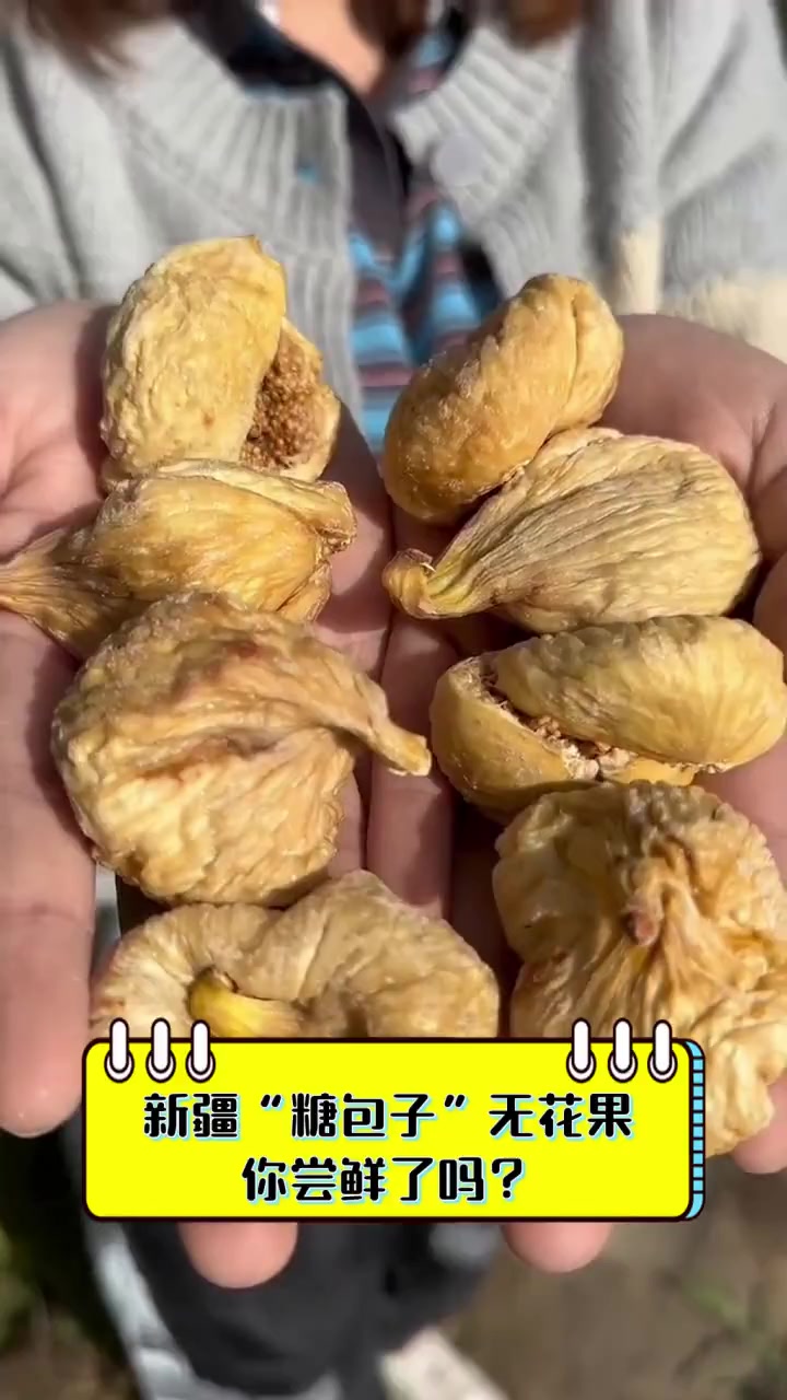 新疆“糖包子”无花果,你尝鲜了吗?