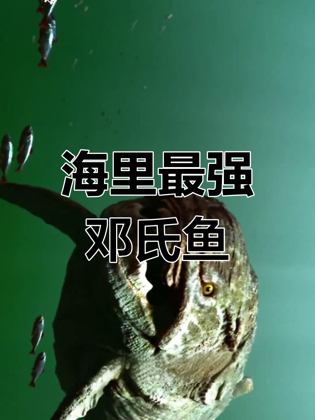 邓氏鱼:海中无敌,骨甲护体,三亿年前称霸海洋