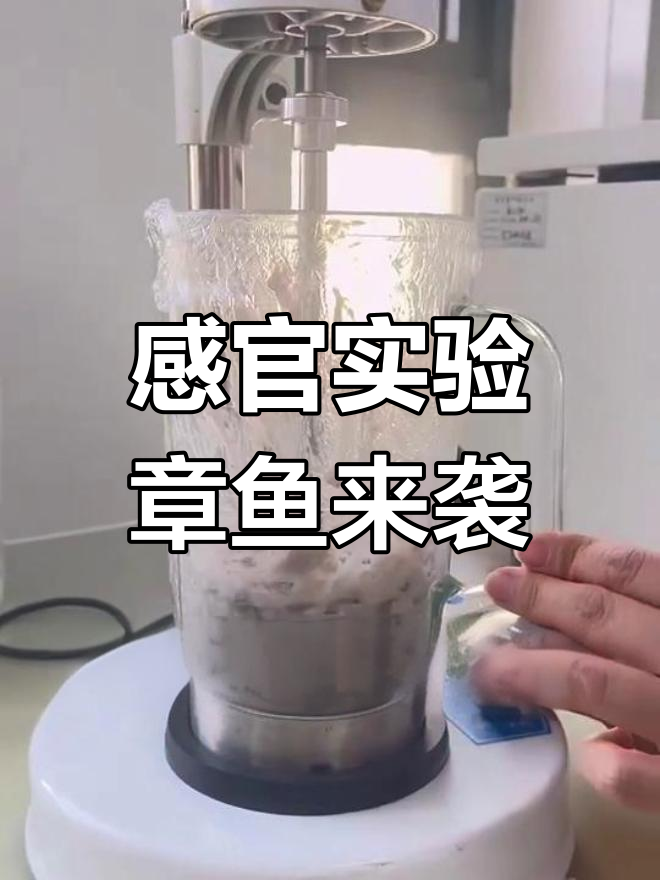 章鱼实验室大揭秘:从切碎到称量,精细操作全程记录