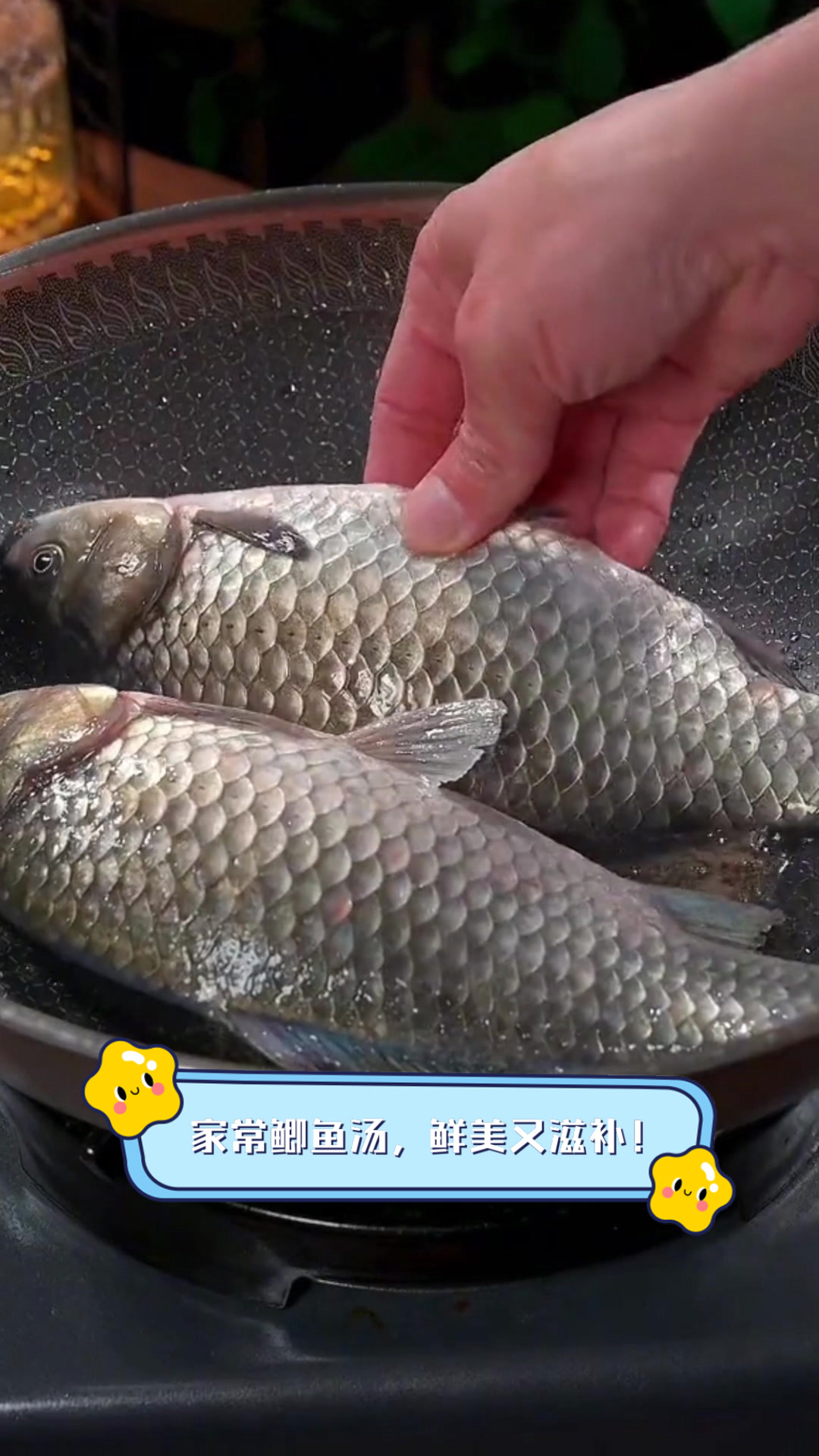 家常鲫鱼汤,鲜美又滋补!
