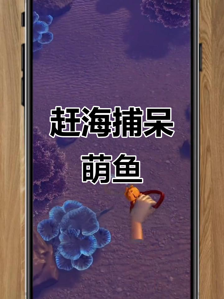 赶海抓憨鱼，女生不喜欢反被嘲讽？男生却超爱！