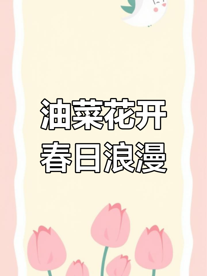 山西运城油菜花盛开,浪漫春天如约而至