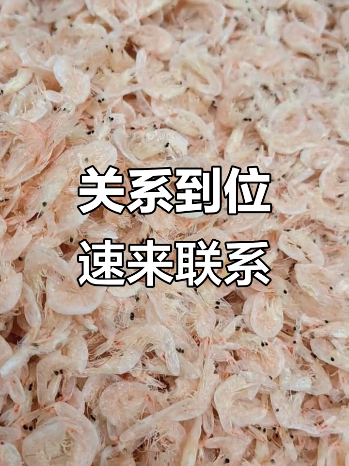 羊口老咸菜、虾油萝卜,关系到位赶紧行动!