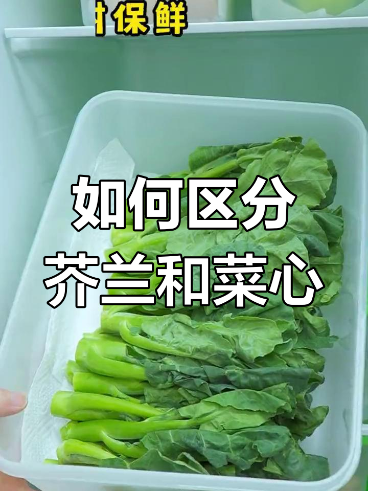 芥兰与菜心的区别及保鲜技巧