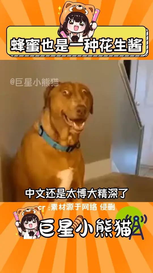 蜂蜜也是一种花生酱