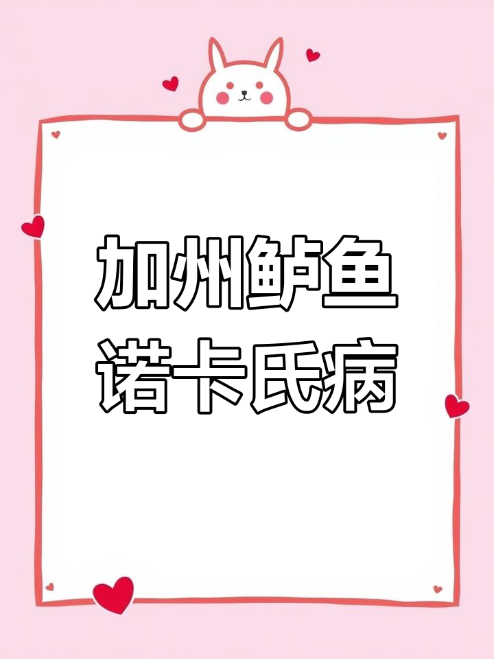 加州鲈鱼诺卡氏病解析:如何判断与应对