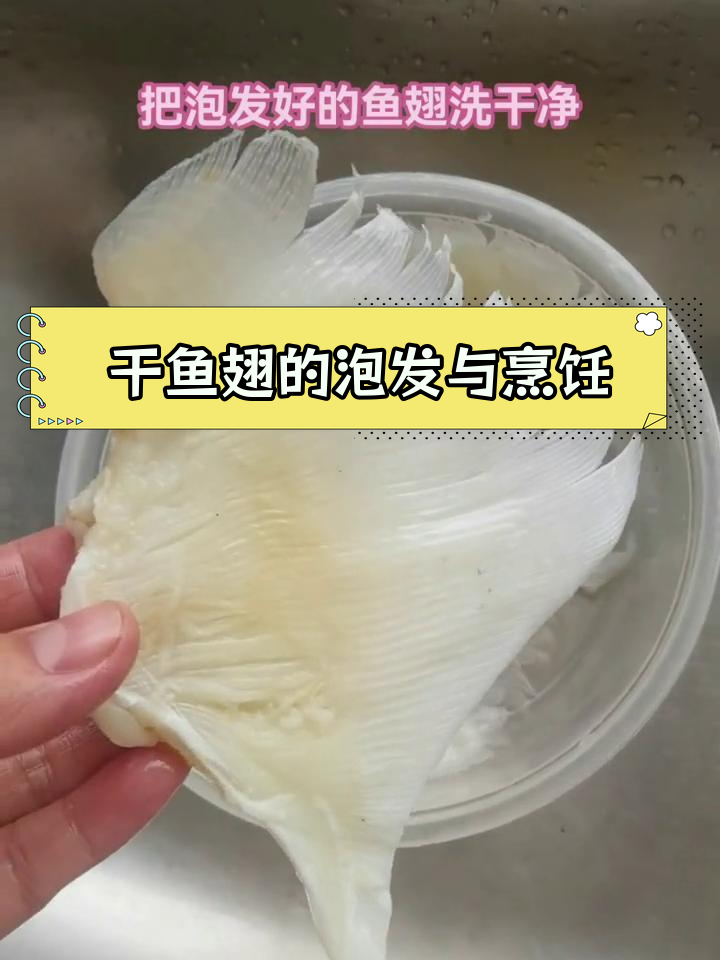 过年泡发鱼翅,蒸煮出美味