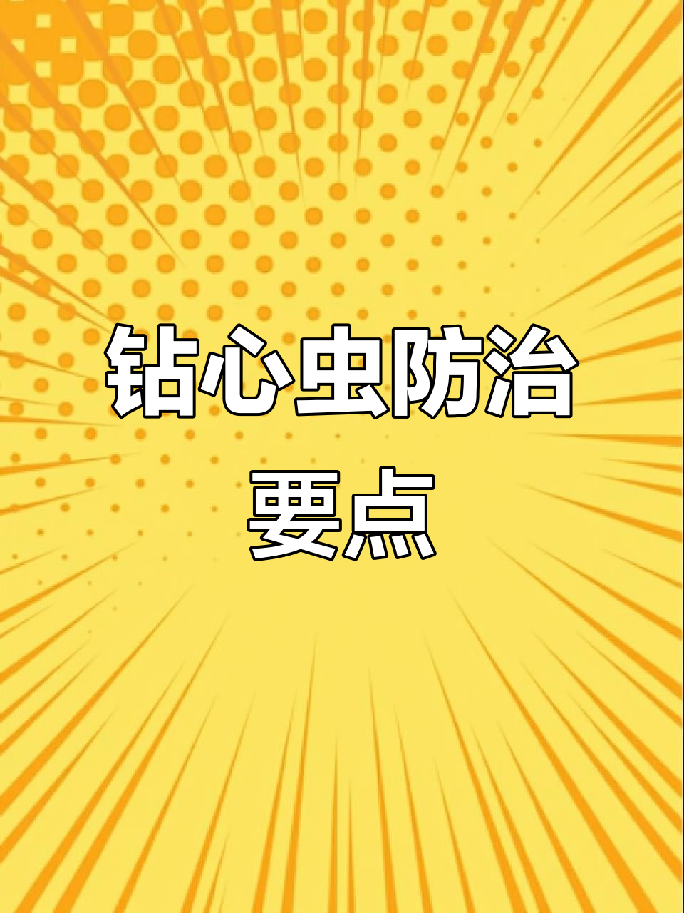 九月份钻心虫防治关键期,掌握时机至关重要