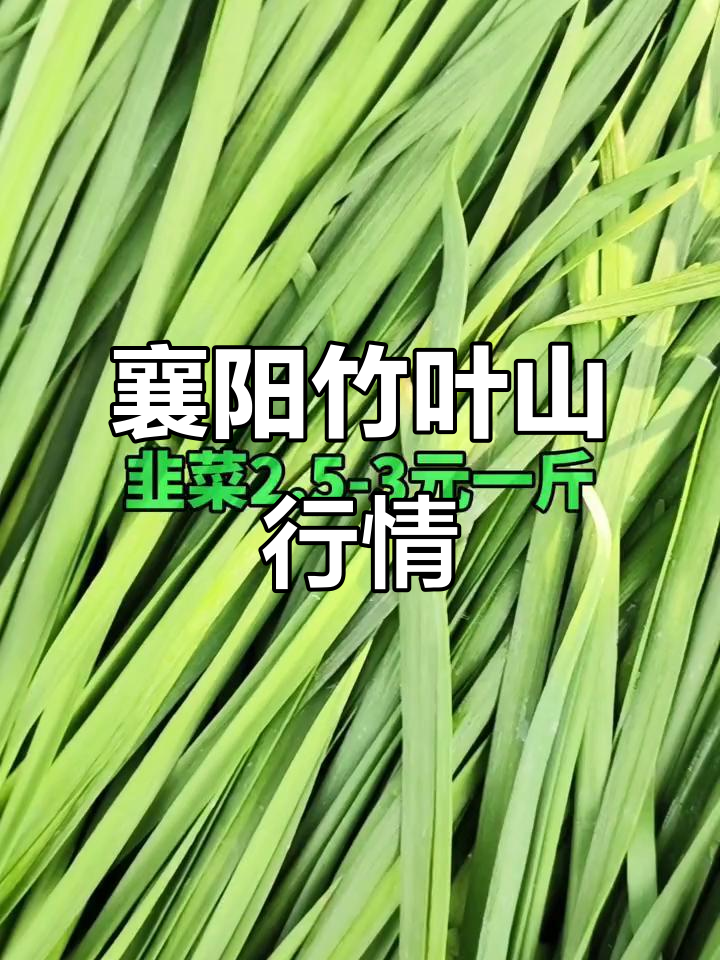 襄阳竹叶山市场3月15日蔬菜水果价格大揭秘,新鲜应季货源一览