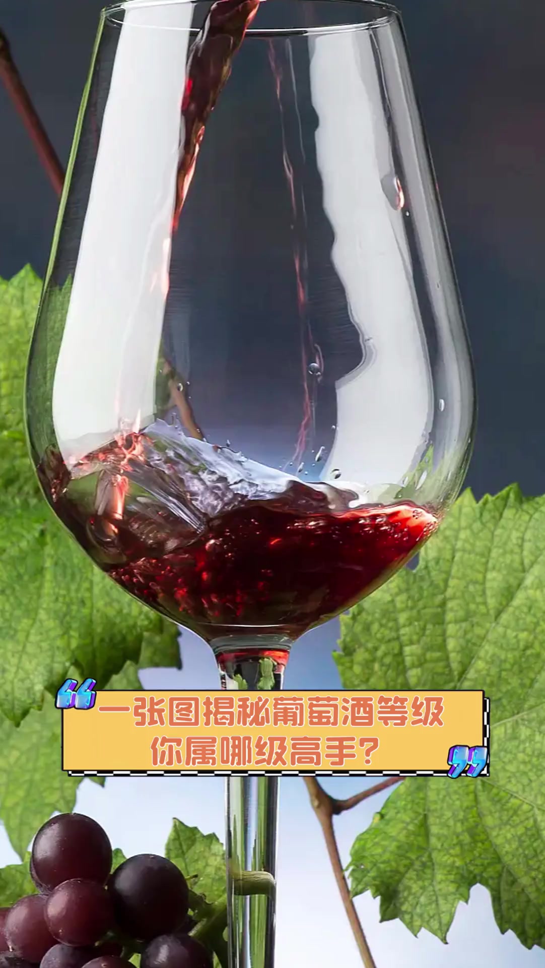 一张图揭秘葡萄酒等级,你属哪级高手?