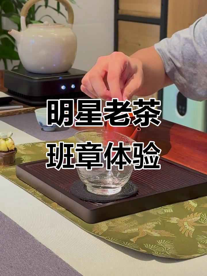 38000元一饼的班章大白菜,口感如何?