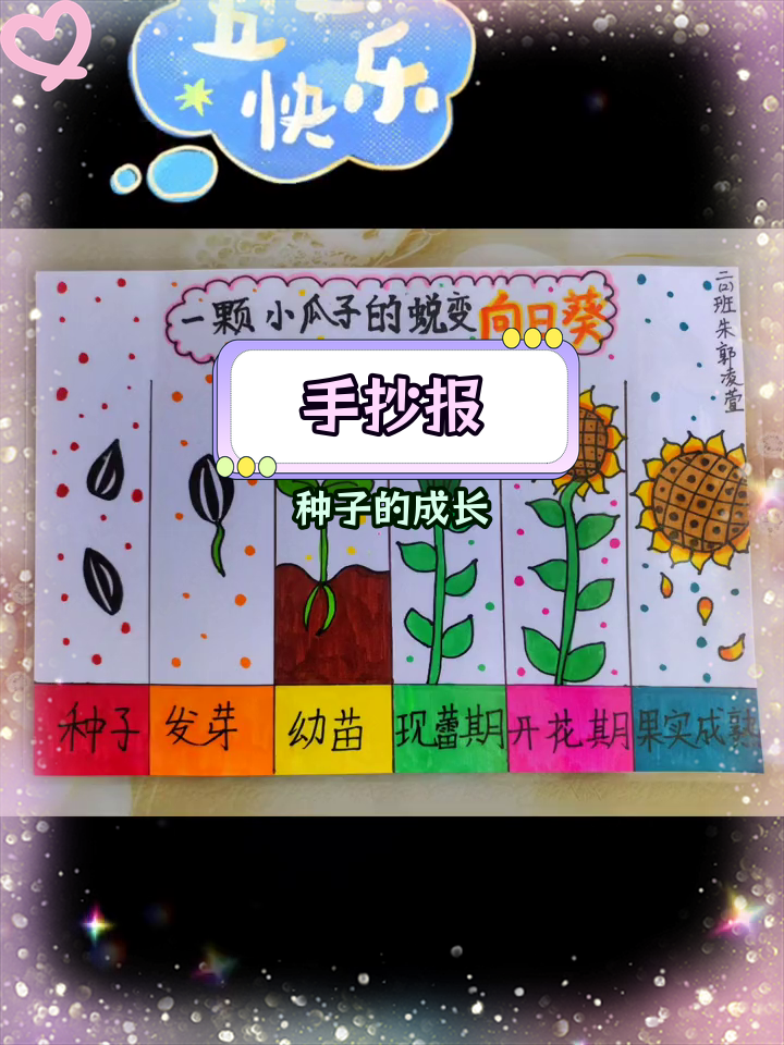 植物种子发芽生长过程手抄报绘画