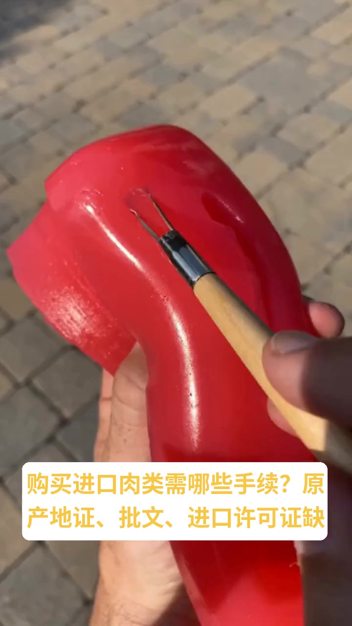 购买进口肉类需要对方什么手续