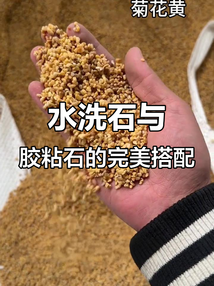天然菊花黄彩石:水磨、鱼缸造景理想材料