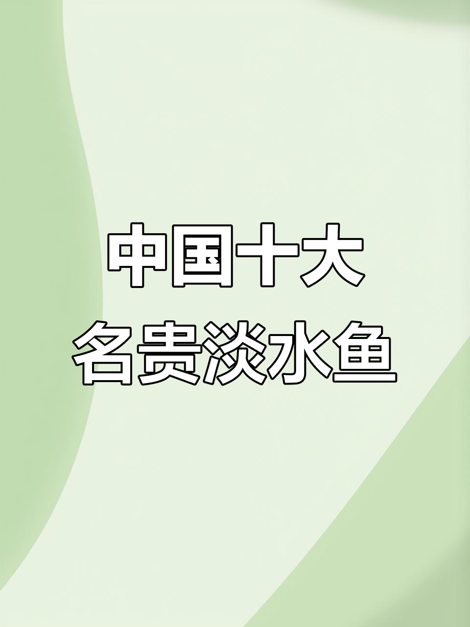 黄河鲤鱼到长江刀鱼,中国最昂贵的淡水鱼类大揭秘