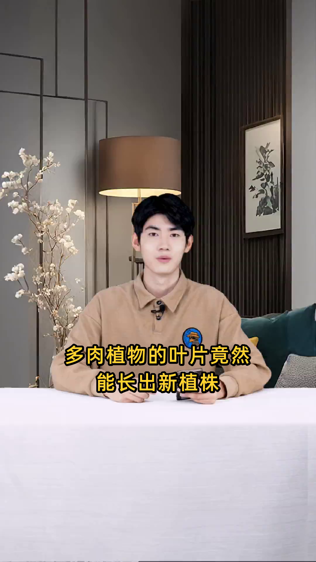 多肉植物如何用单独的一片叶子成功地重新种植并培育出新的生命?