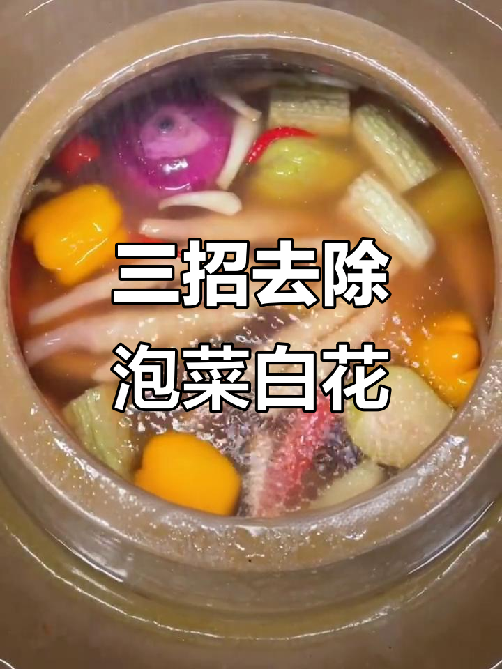 泡菜坛子生花?三步轻松搞定白花问题