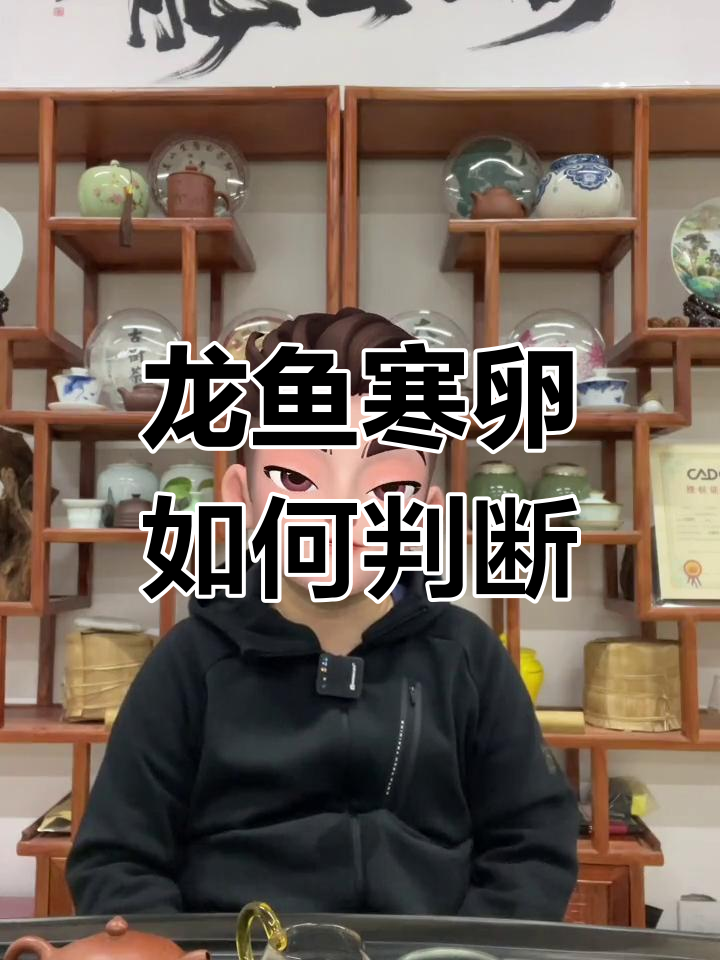 如何判断龙鱼公母含卵？观察它们在水中的行为