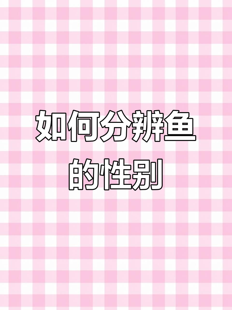 鱼公母怎么区分？从体型到繁殖期全揭秘