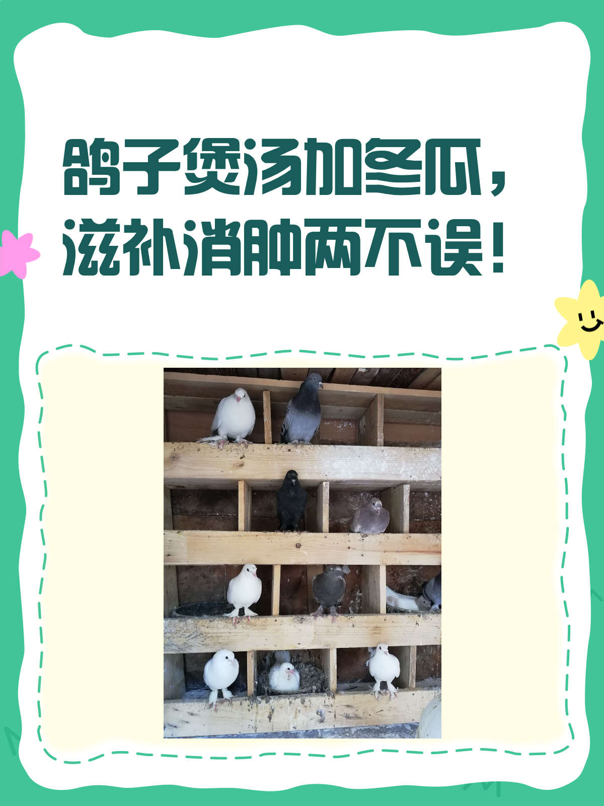 鸽子煲汤加冬瓜,营养又消肿的秘诀!