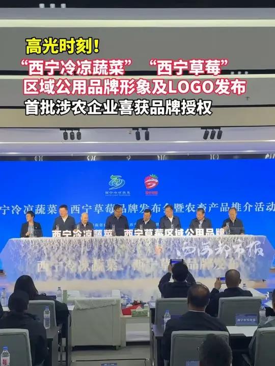 高光时刻！“西宁冷凉蔬菜”“西宁草莓” 区域公用品牌形象及LOGO发布 首批涉农企业喜获品