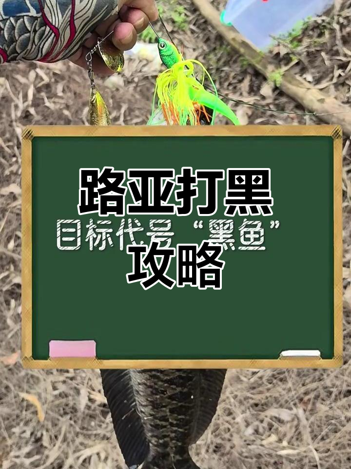 如何用路亚钓黑鱼?3分钟掌握技巧与装备选择