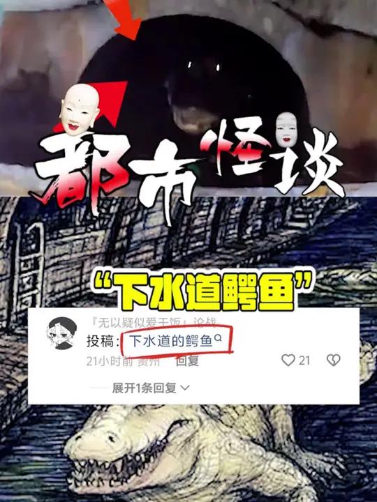 新的都市传说,下水道的鳄鱼!