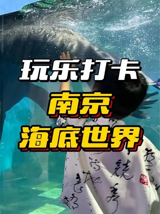 南京海底世界打卡攻略来啦……南京海底世界 海底世界章鱼入侵计划太酷了 亲子游玩好去处 南京