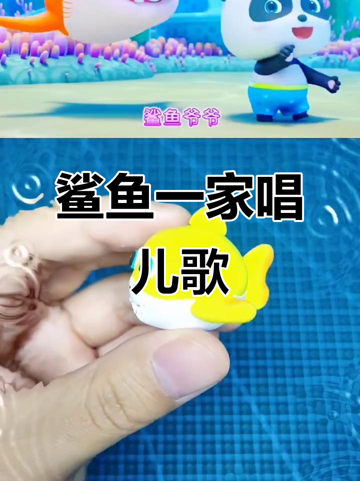 鲨鱼家庭大合唱,宝宝巴士儿歌欢乐多