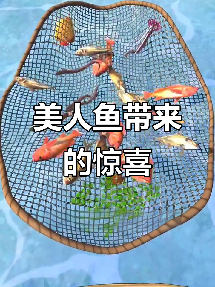 捕鱼游戏中遇到美人鱼的秘密,竟然能赚这么多钱!