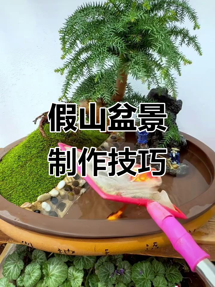假山盆景制作全攻略:从水坝到苔藓,一步到位