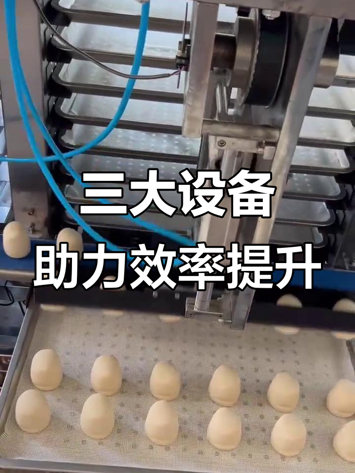 提升机、摆盘机和S整形机的完美配合,让生产更高效