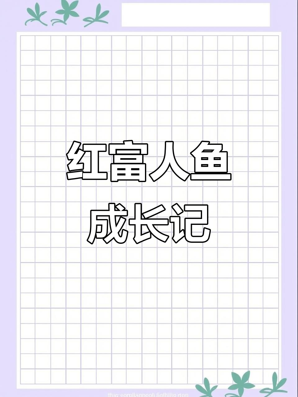 他的红腹食人鱼竟然长得这么快,吃食状态简直惊人