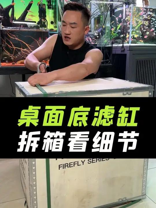 拆箱一个桌面底滤鱼缸,久物B7系列,太好看了!