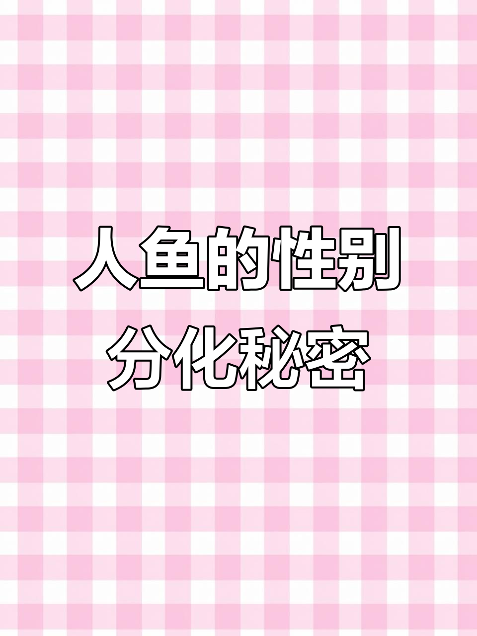 女主与男主人鱼的爱情纠葛，女配的悲惨结局让人捧腹
